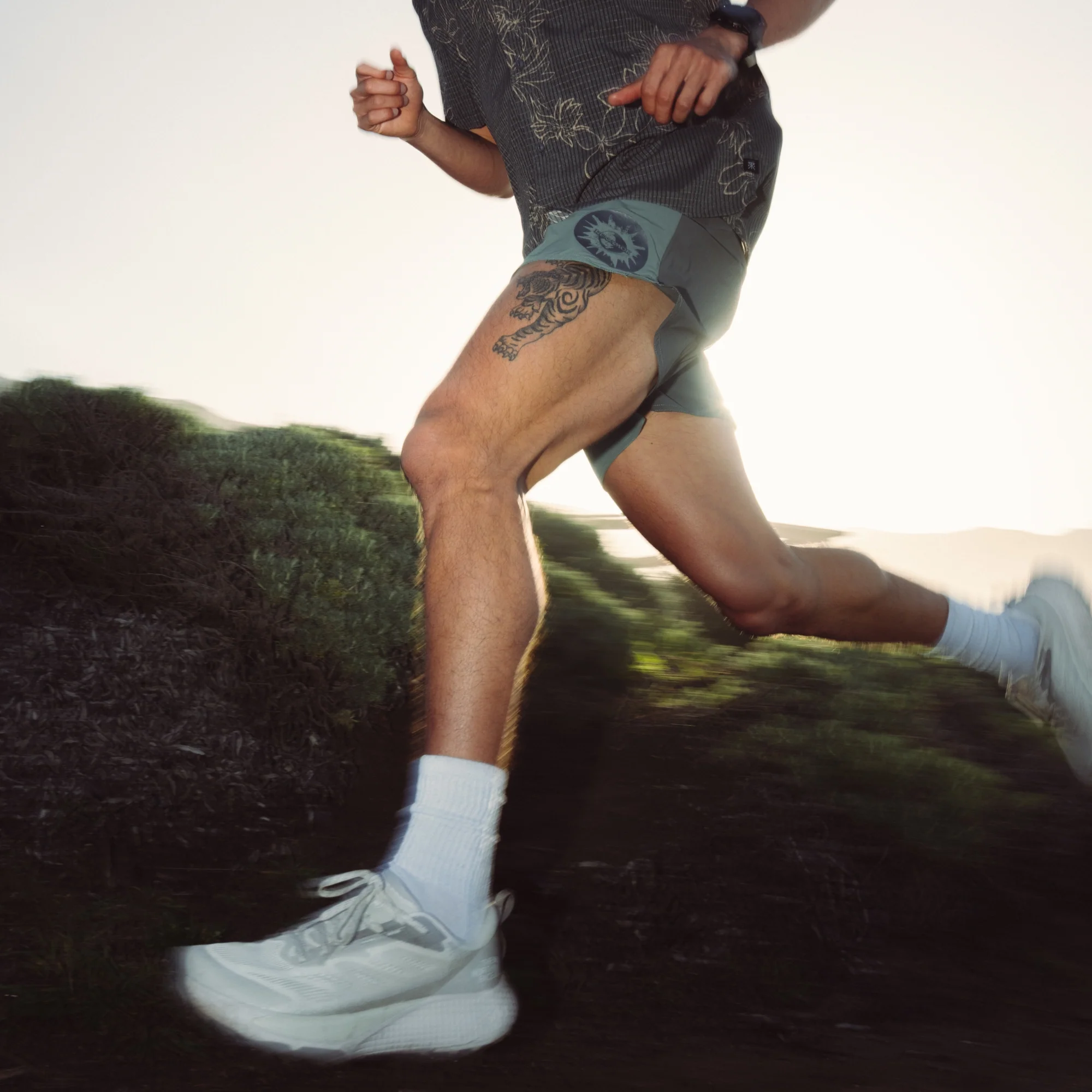 Alta 5" Shorts - Slate Green - Image 3